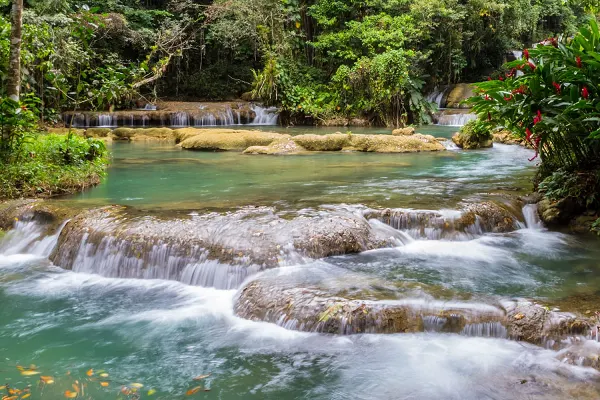 Exploring Jamaica’s Waterfalls: Nature’s Best Escapes