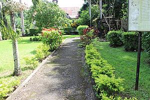 Bath Botanical Garden