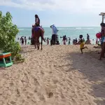 Hellshire Beach (Fisherman Beach)
