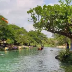 Caymanas River