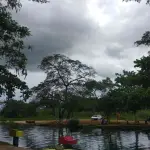 Caymanas River