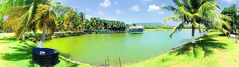 Little’s Hobby Hut Safari & Fish Farm