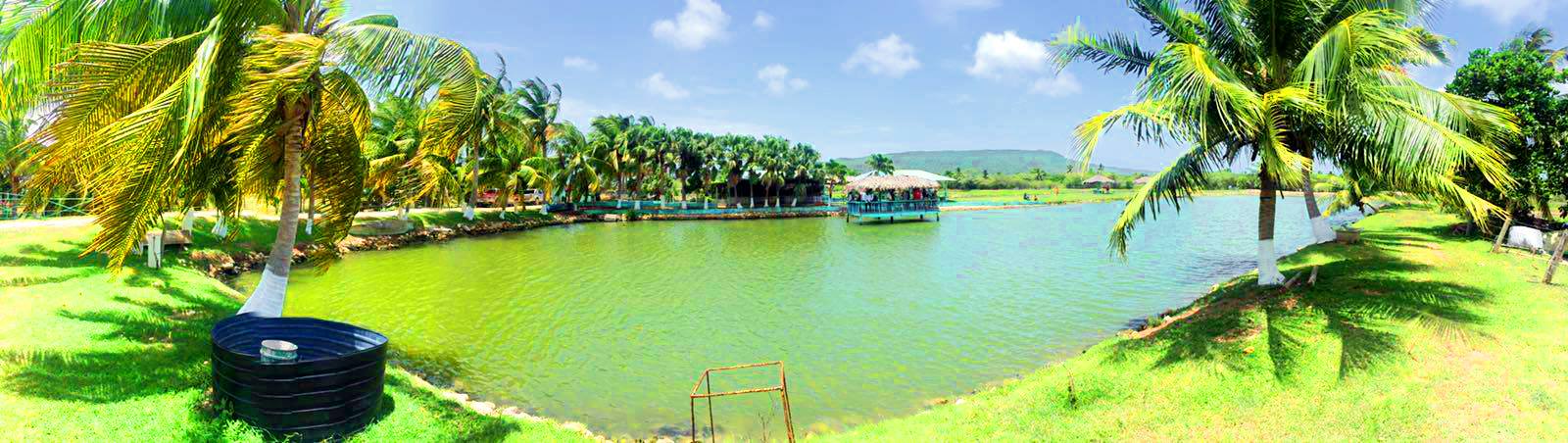 Little’s Hobby Hut Safari & Fish Farm