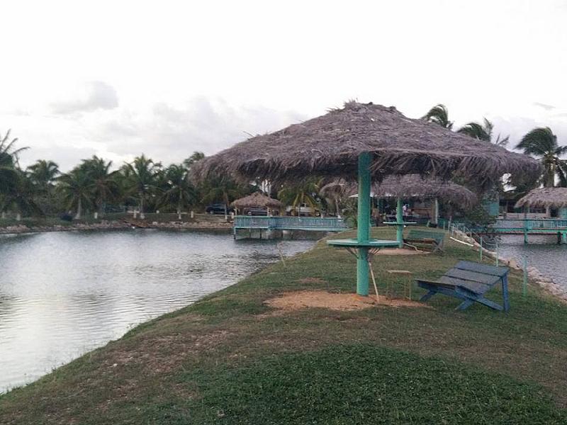 Little’s Hobby Hut Safari & Fish Farm