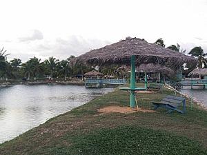 Little’s Hobby Hut Safari & Fish Farm