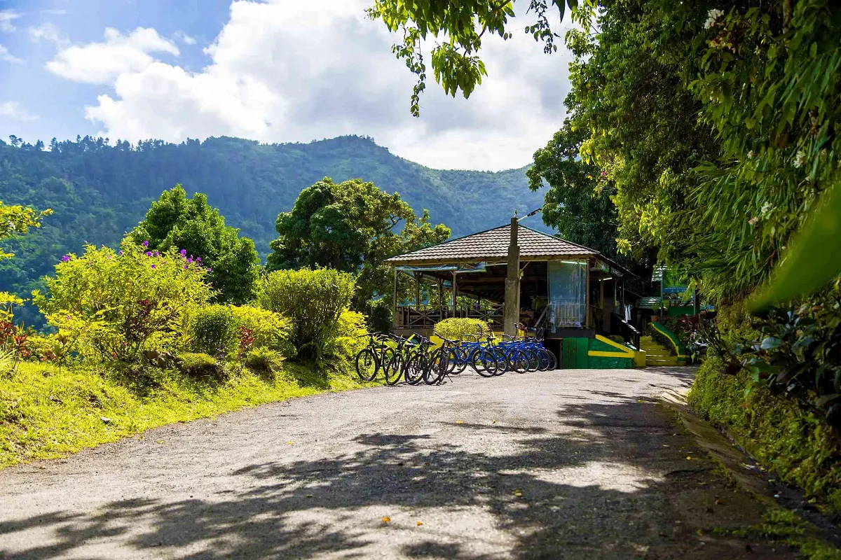 Best Hiking Trails in Jamaica (Top Scenic Spots to Explore)