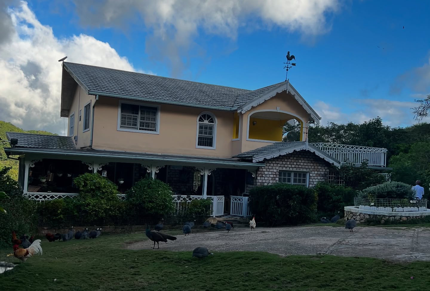 Animal Farm & Nature Reserve