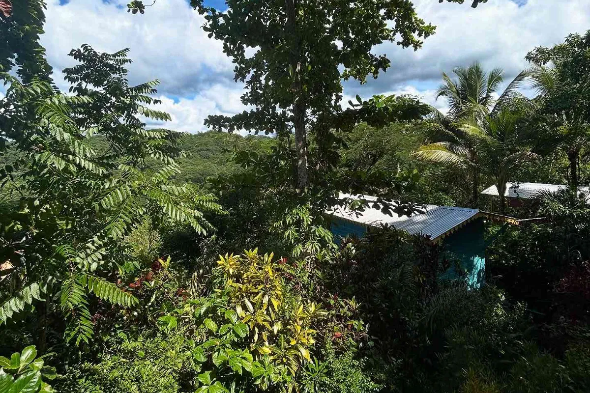 Animal Farm & Nature Reserve