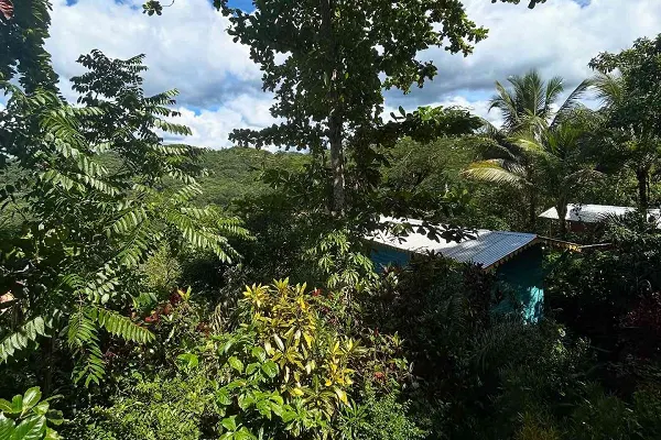Animal Farm & Nature Reserve