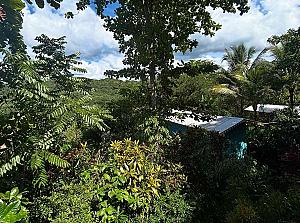 Animal Farm & Nature Reserve