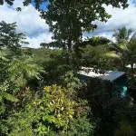 Animal Farm & Nature Reserve