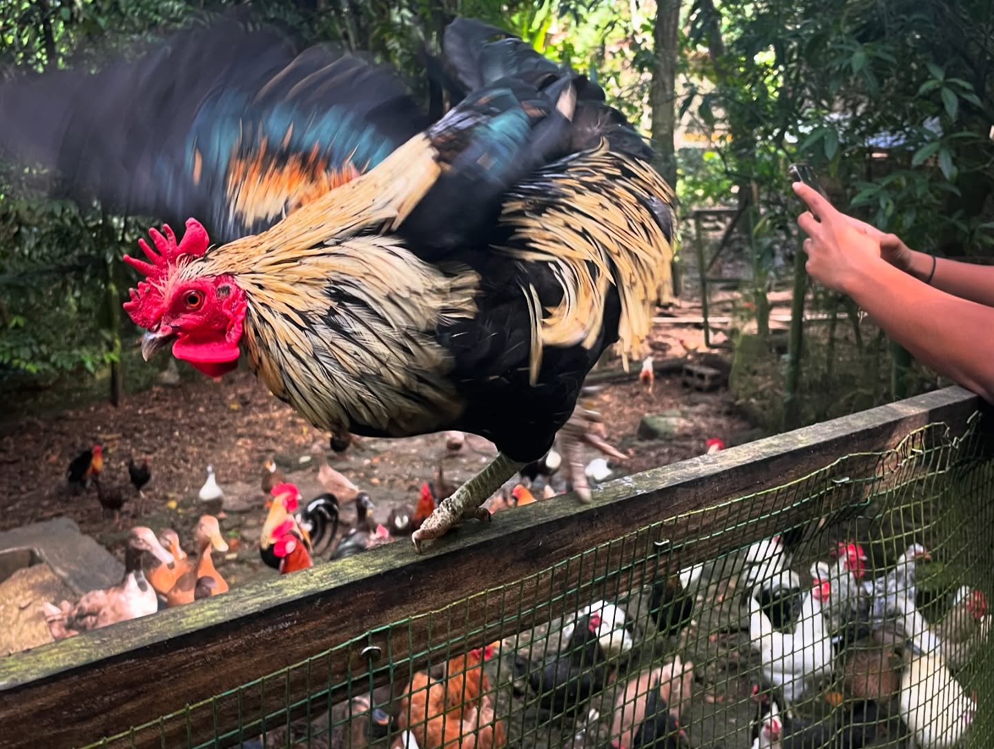 Animal Farm & Nature Reserve