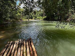 Animal Farm & Nature Reserve