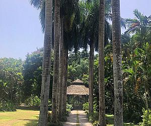 Cranbrook Flower Forest