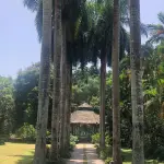 Cranbrook Flower Forest