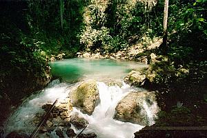 Cranbrook Flower Forest