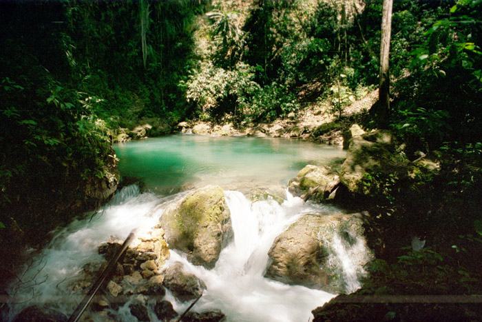 Cranbrook Flower Forest