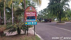 Dunn's River Falls and Park