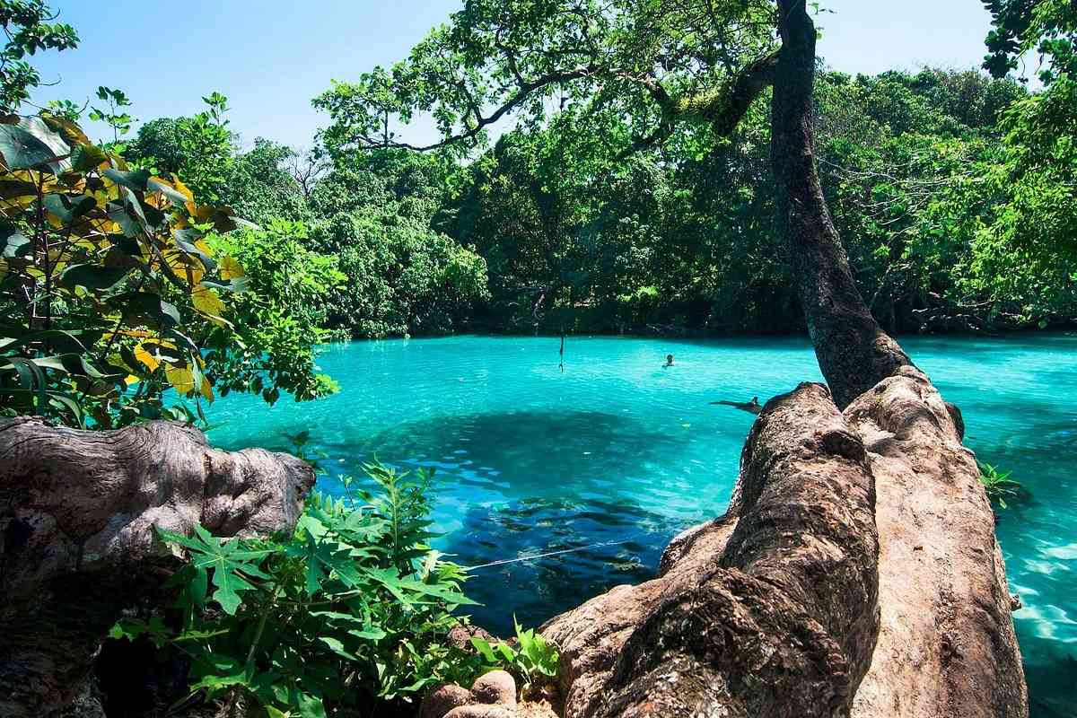 Portland: Jamaica's Lush, Untouched Paradise