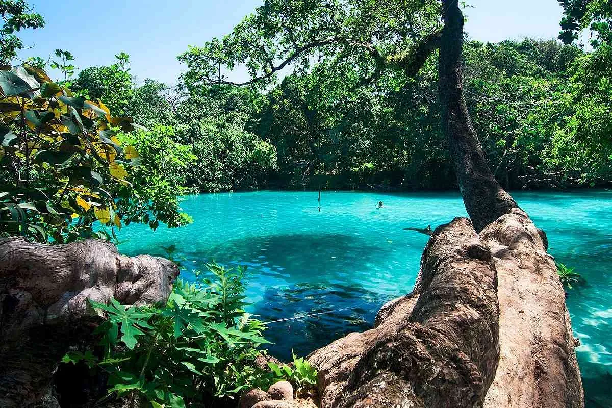 Portland: Jamaica's Lush, Untouched Paradise