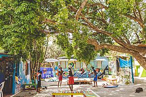 Jamnesia Surf Camp / Surf School 🏄‍♂️