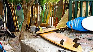 Jamnesia Surf Camp / Surf School 🏄‍♂️