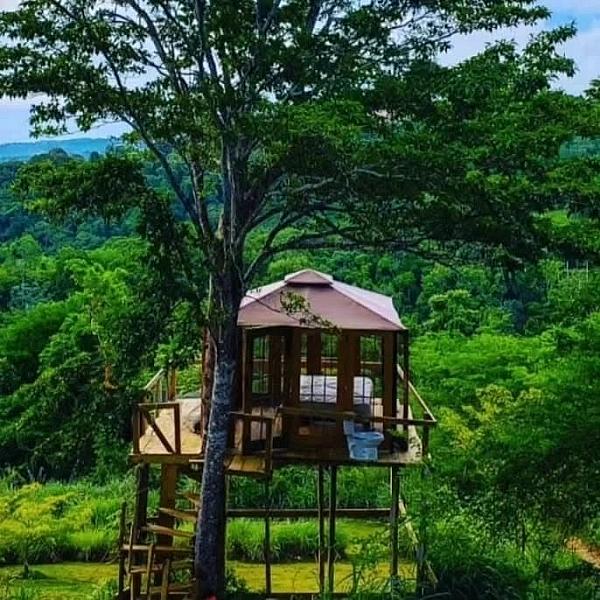 Fern Forest Eco Village