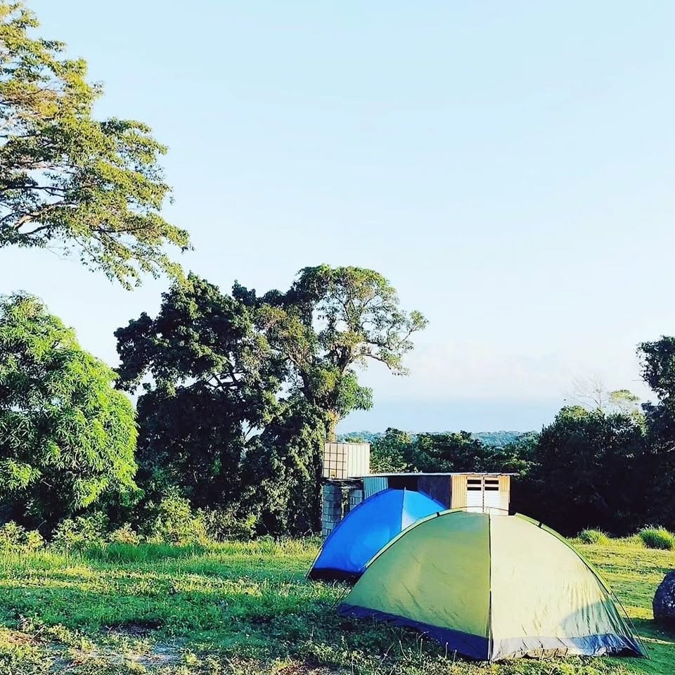 Fern Forest Eco Village
