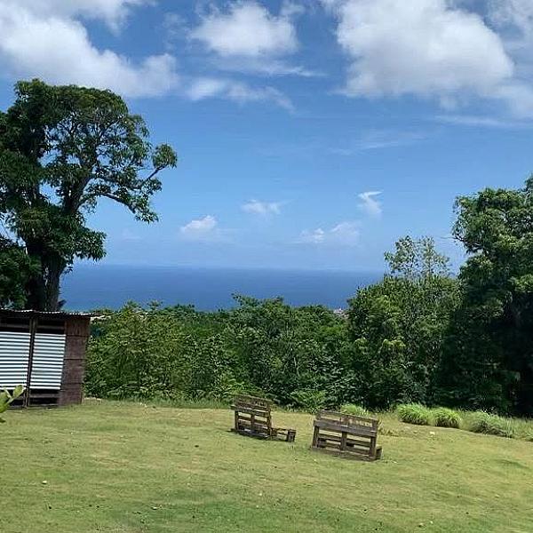 Fern Forest Eco Village