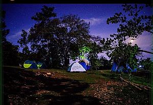 Fern Forest Eco Village