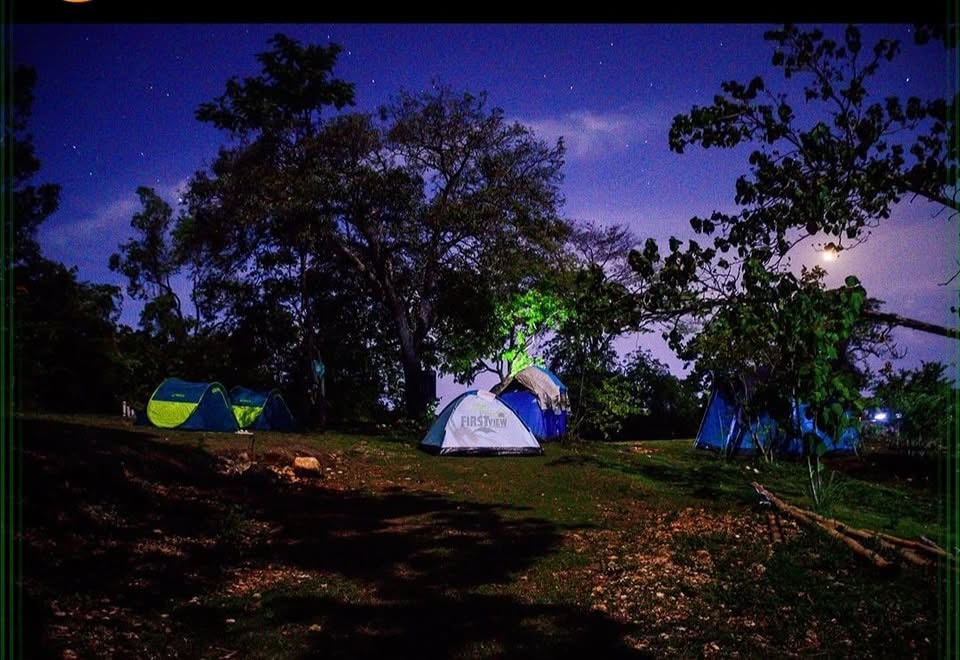 Fern Forest Eco Village