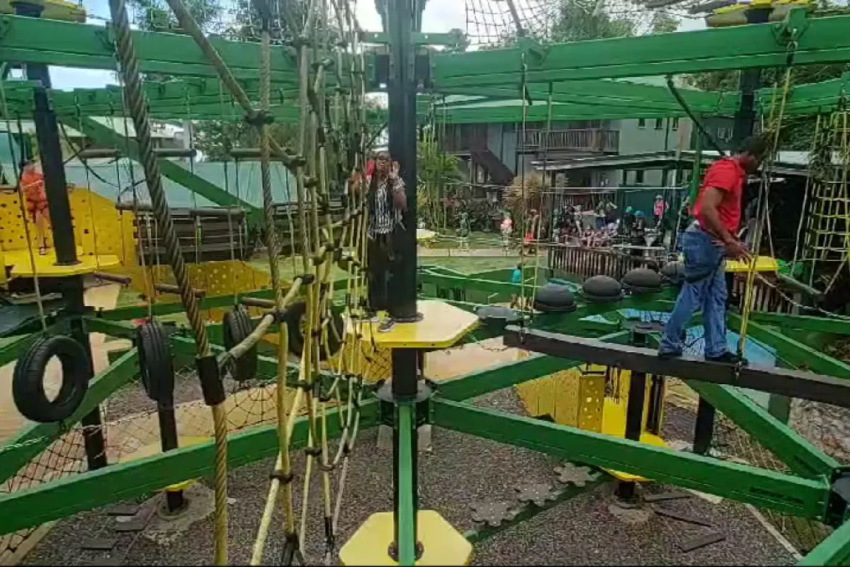 Rainforest Adventures At Jamaica Mystic Mountain