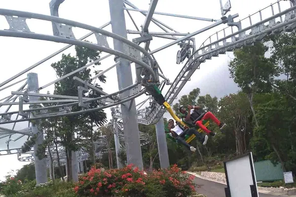 Rainforest Adventures At Jamaica Mystic Mountain