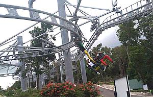 Rainforest Adventures At Jamaica Mystic Mountain