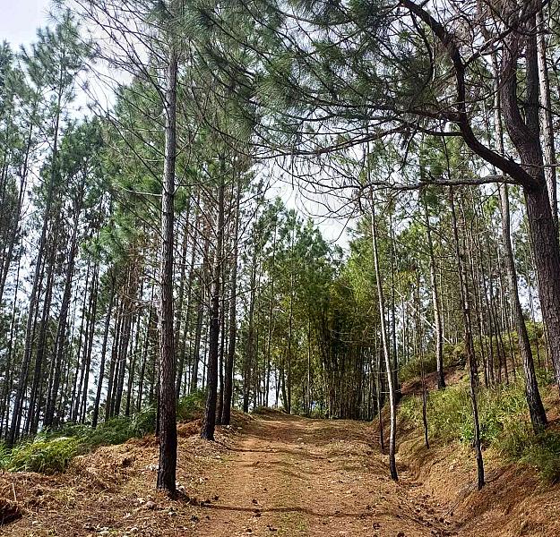 Bull Head Mountain