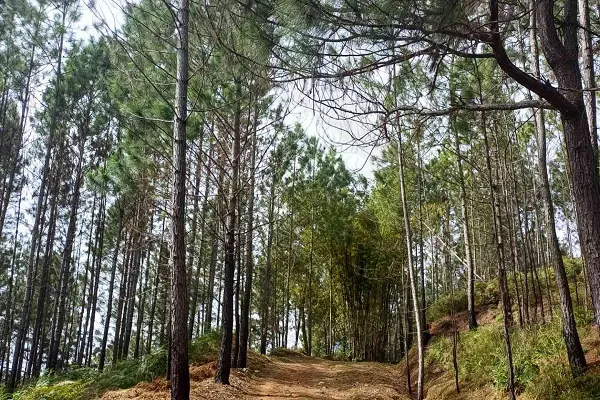 Bull Head Mountain