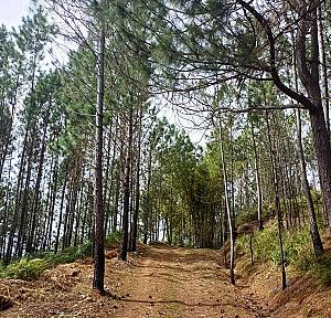 Bull Head Mountain