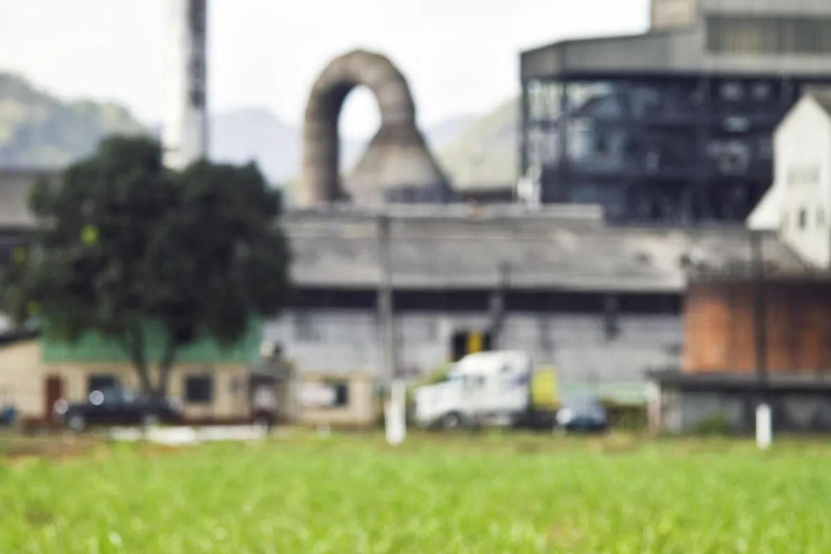Factory Tours in Jamaica
