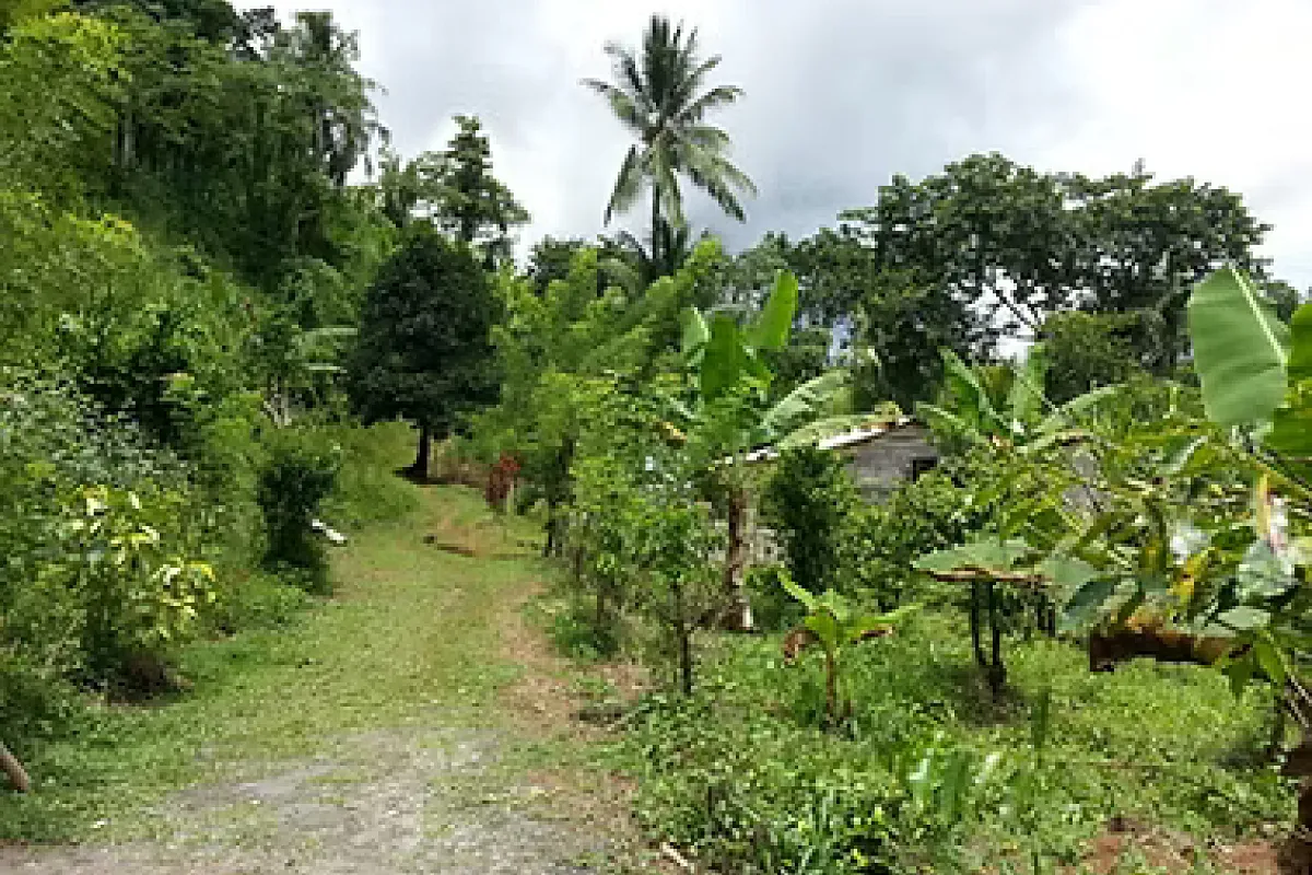 Katawud Village