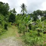 Katawud Village