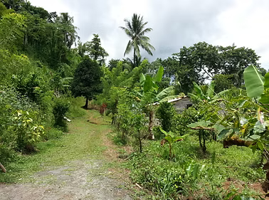Katawud Village
