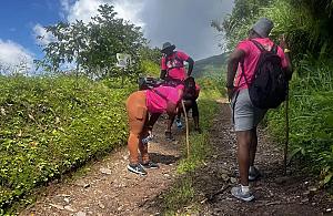 Roosters World JA Camping