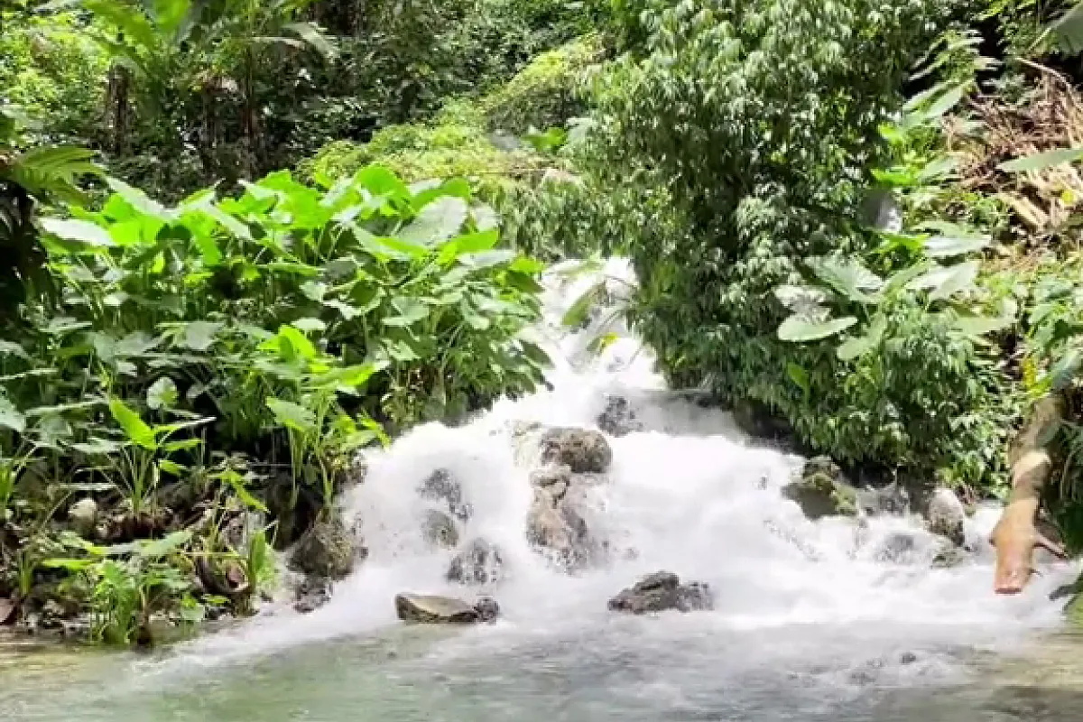 Venture River