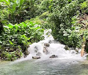 Venture River