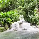 Venture River