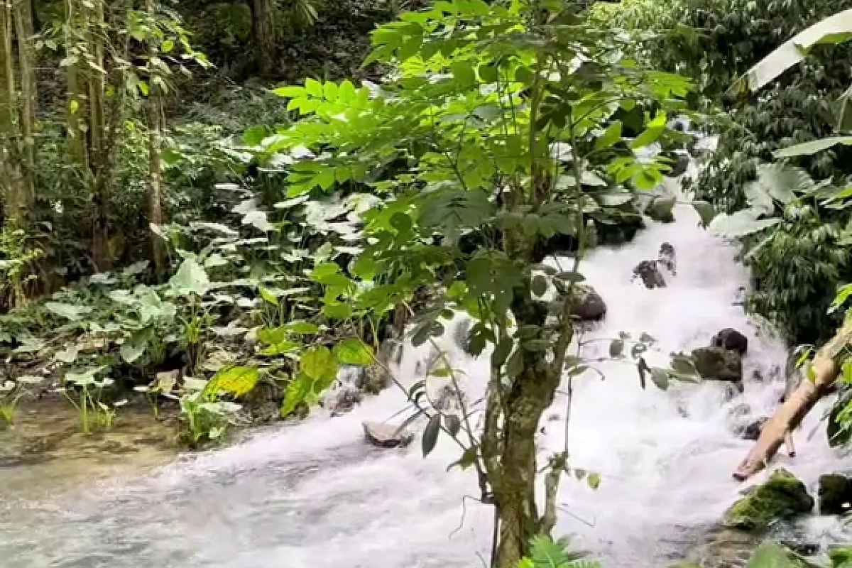 Venture River