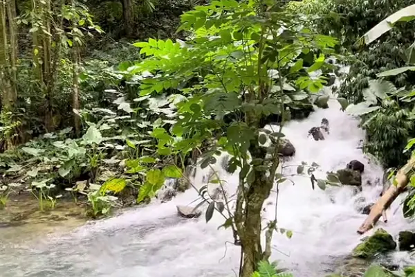 Venture River