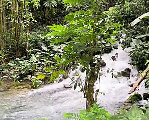 Venture River