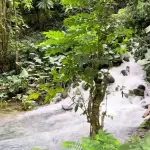 Venture River