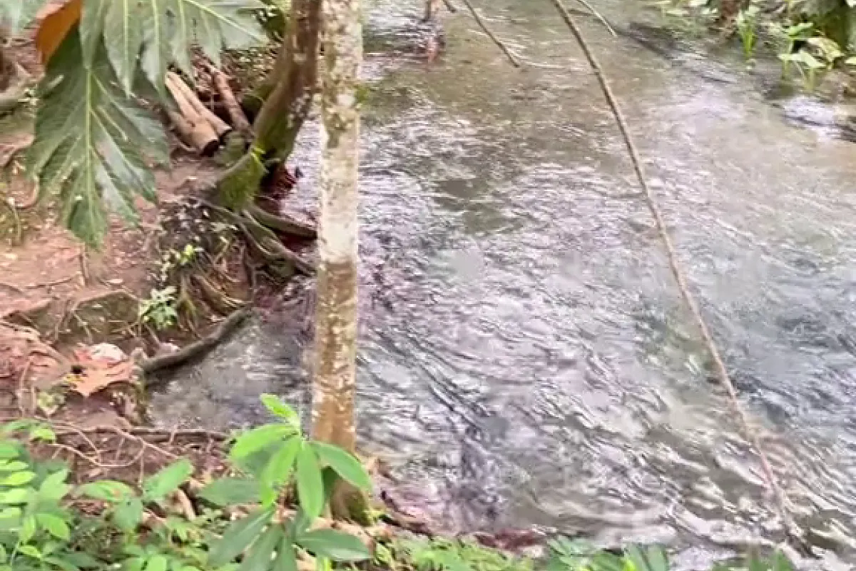 Venture River